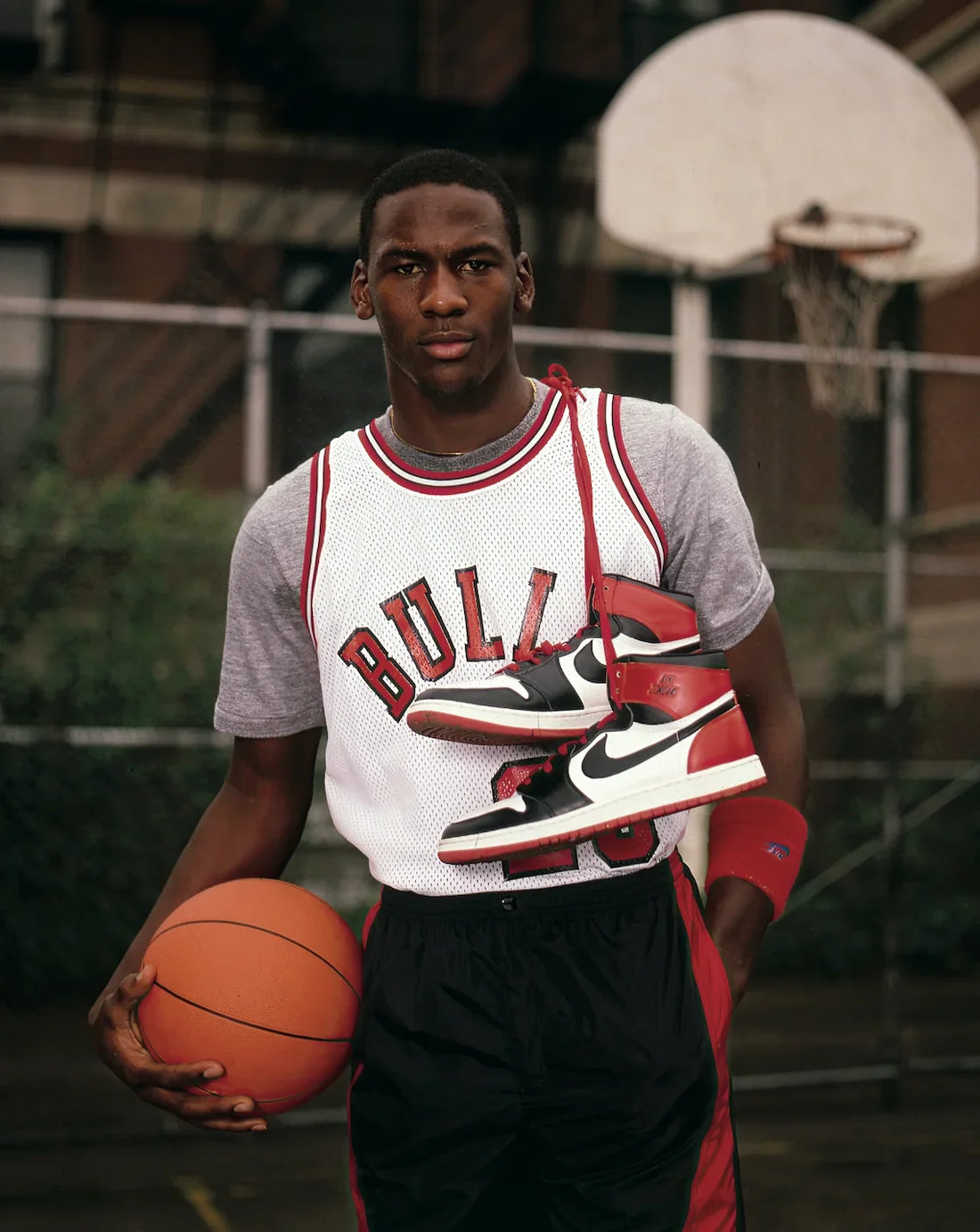 A new monograph devoted to his "Royal Airness"